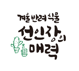 Rix캘리_솜사탕